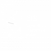 EIS logo white